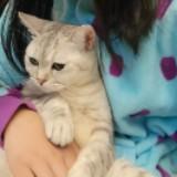 （分類：）位於 。 由 someone_else 提交（商品編號 1124834426，圖片 1）。簡介： 。