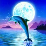 (Category: ) located in . Submitted by supershiokk (Listing ID 1466612557, Image 1). Description: .