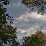 (Category: ) located in . Submitted by ks_kloset (Listing ID 1396624990, Image 1). Description: .