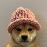 （分類：）位於 。 由 doges_shop 提交（商品編號 1135200647，圖片 1）。簡介： 。