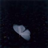 (Category: ) located in . Submitted by Mr574 (Listing ID 1180549444, Image 1). Description: .