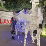 由 love5201223 (刊登 ID 1379264744，圖片 1) 提交，位於 的 (類別：)，說明：。
