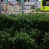 (Category: ) located in . Submitted by helloneigh3131 (Listing ID 1377776309, Image 1). Description: .