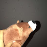 (Category: ) located in . Submitted by wxhjw (Listing ID 1371313481, Image 1). Description: .