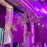 (Category: ) located in . Submitted by 96kaixin (Listing ID 1341480847, Image 1). Description: .