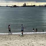 (Category: ) located in . Submitted by dchongsf (Listing ID 1321725062, Image 1). Description: .