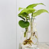 （分類：）位於 。 由 ivyumi 提交（商品編號 1356826473，圖片 1）。簡介： 。