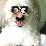 (Category: ) located in . Submitted by sugarmanuel (Listing ID 1136863619, Image 1). Description: .