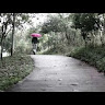 （分類：）位於 。 由 special_needs_ 提交（商品編號 1332848171，圖片 1）。簡介： 。