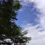 (Category: ) located in . Submitted by kzcny (Listing ID 1343628198, Image 1). Description: .