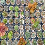 由 orbis.chung (刊登 ID 1381961504，圖片 1) 提交，位於 的 (類別：)，說明：。