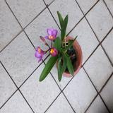 (Category: ) located in . Submitted by beekar (Listing ID 1338373699, Image 1). Description: .
