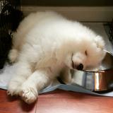(Category: ) located in . Submitted by tohstedsmiles (Listing ID 1366891172, Image 1). Description: .