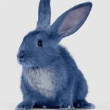 (Kategori: ) berada di . Dikirim oleh bunnee.blue (ID iklan 62029299, Gambar 1). Deskripsi: .