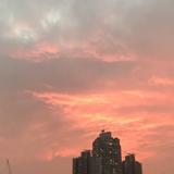 （分類：）位於 。 由 daisyc_04 提交（商品編號 1340182206，圖片 1）。簡介： 。