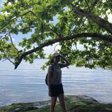 (Category: ) located in . Submitted by jychay (Listing ID 1384670145, Image 1). Description: .
