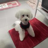 (Category: ) located in . Submitted by ngaymoiden (Listing ID 1457640849, Image 1). Description: .