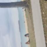 (Category: ) located in . Submitted by shiningstar_17 (Listing ID 1378635170, Image 1). Description: .
