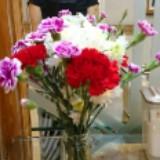 (Category: ) located in . Submitted by erlize (Listing ID 1379556734, Image 1). Description: .
