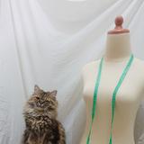 (Kategori: ) berada di . Dikirim oleh miaou.atelier (ID iklan 1258154422, Gambar 1). Deskripsi: .