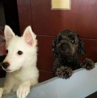 (Category: ) located in . Submitted by jjkdeclutters (Listing ID 1386527088, Image 1). Description: .