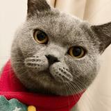 （分類：）位於 。 由 mr_luxury 提交（商品編號 1330135348，圖片 1）。簡介： 。