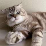 (Category: ) located in . Submitted by bayanganku (Listing ID 1374705341, Image 1). Description: .