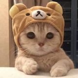 （分類：）位於 。 由 jennylau2324 提交（商品編號 1303127277，圖片 1）。簡介： 。