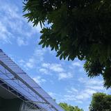 由 amn6910 (刊登 ID 1377733525，圖片 1) 提交，位於 的 (類別：)，說明：。