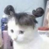 (Category: ) located in . Submitted by doesntworkonrna (Listing ID 1362716170, Image 1). Description: .
