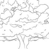(Category: ) located in . Submitted by fall2000 (Listing ID 1450190454, Image 1). Description: .