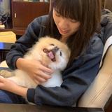 由 jessica087654 (刊登 ID 1380246862，圖片 1) 提交，位於 的 (類別：)，說明：。
