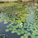(Category: ) located in . Submitted by oregon75q (Listing ID 1359212971, Image 1). Description: .