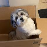 (Category: ) located in . Submitted by cutenity (Listing ID 1339199431, Image 1). Description: .