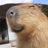 （分類：）位於 。 由 CapybaraShop2022 提交（商品編號 1281062080，圖片 1）。簡介： 。