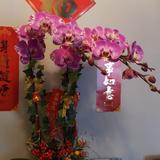 （分類：）位於 。 由 homannei 提交（商品編號 1032096166，圖片 1）。簡介： 。