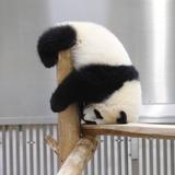 由 yunn030 (刊登 ID 1378340823，圖片 1) 提交，位於 的 (類別：)，說明：。