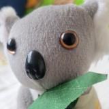 （分類：）位於 。 由 koala326 提交（商品編號 1298710685，圖片 1）。簡介： 。