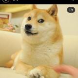 (Category: ) located in . Submitted by likestoeat (Listing ID 1380052573, Image 1). Description: .