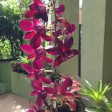 (Category: ) located in . Submitted by p.shbm (Listing ID 1352945181, Image 1). Description: .