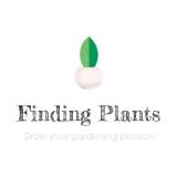 (Category: ) located in . Submitted by findingplants (Listing ID 1431424579, Image 1). Description: .
