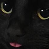 (Category: ) located in . Submitted by ronathan228 (Listing ID 1466313663, Image 1). Description: .