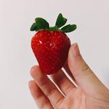 由 strawberryyum (刊登 ID 1384178395，圖片 1) 提交，位於 的 (類別：)，說明：。