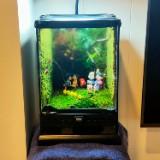 (Category: ) located in . Submitted by hcpang (Listing ID 1384741161, Image 1). Description: .