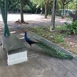 (Category: ) located in . Submitted by shasg (Listing ID 1364759067, Image 1). Description: .
