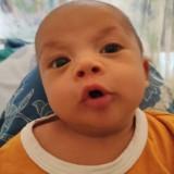 (Kategori: ) berada di . Dikirim oleh natalia.wibowo (ID iklan 1303659118, Gambar 1). Deskripsi: .