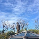 由 vanessanny (刊登 ID 1381512406，圖片 1) 提交，位於 的 (類別：)，說明：。