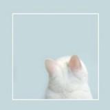 由 unini____chiki (刊登 ID 1383888802，圖片 1) 提交，位於 的 (類別：)，說明：。