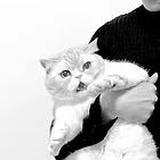 由 mn123457882000 (刊登 ID 1383702047，圖片 1) 提交，位於 的 (類別：)，說明：。