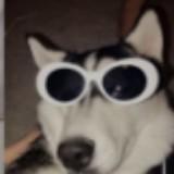 由 viviansgoods (刊登 ID 1335528579，圖片 1) 提交，位於 的 (類別：)，說明：。